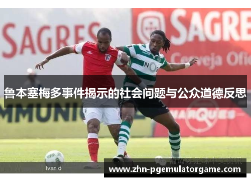 鲁本塞梅多事件揭示的社会问题与公众道德反思