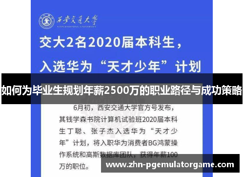 如何为毕业生规划年薪2500万的职业路径与成功策略